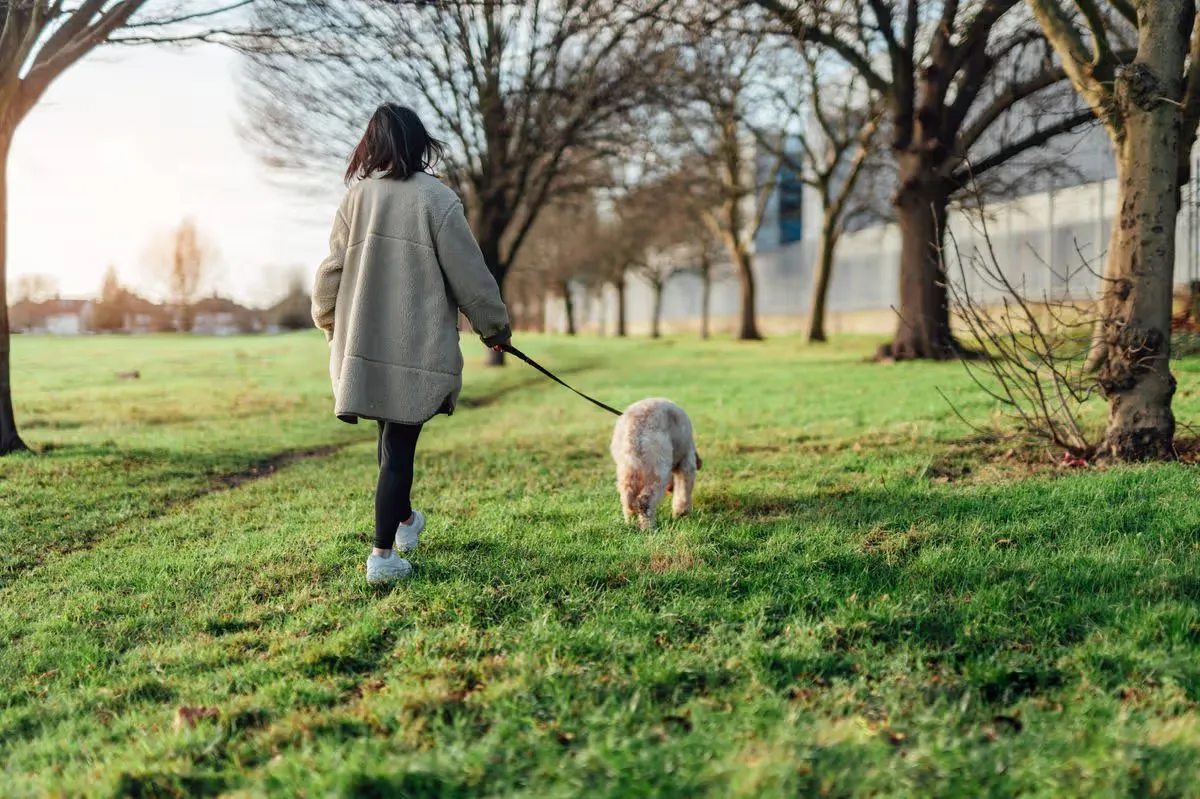 Woman walking her dog in the park on a sunny day
