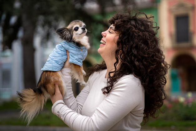 Woman holding a chihuahua during a meet and greet