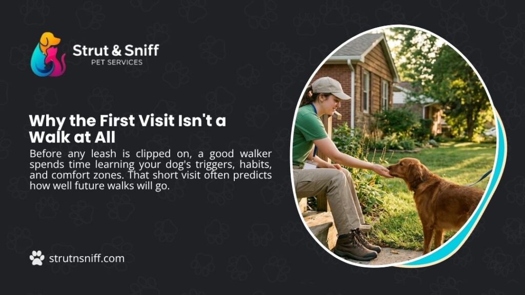 Dog walker sitting on porch extending hand to Golden Retriever during meet-and-greet, with headline "Why the First Visit Isn't a Walk at All" by Strut & Sniff Pet Services.