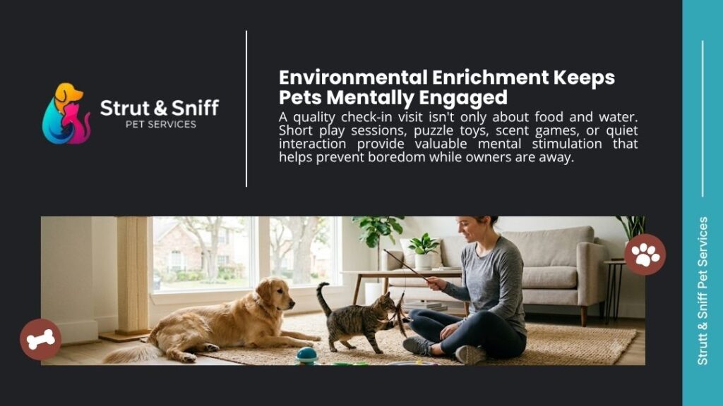 Pet sitter playing with cat and dog using toys for mental enrichment at home by Strut & Sniff Pet Services.