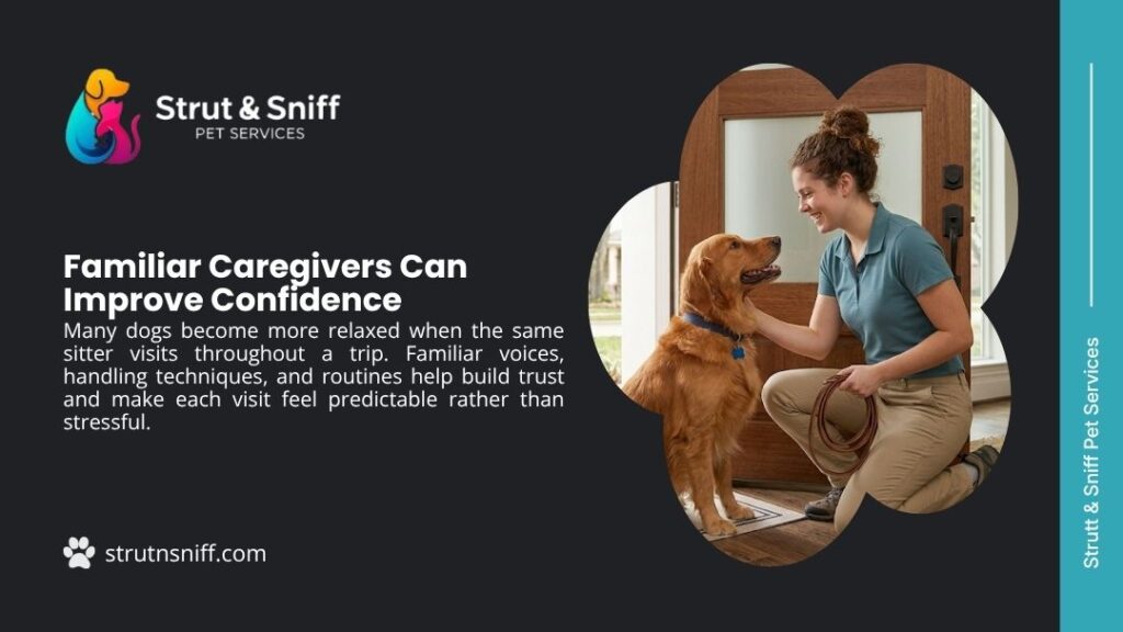 Pet sitter greeting and petting Golden Retriever at front door for familiar care and confidence by Strut & Sniff Pet Services