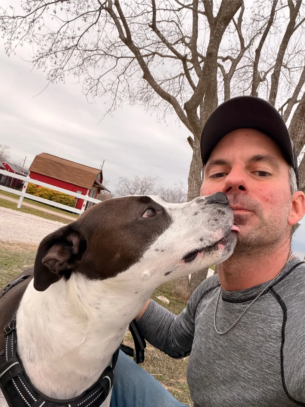 Happy dog licking its owner's face
